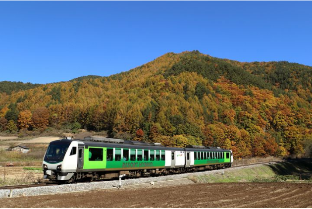 游遍日本车窗外的红叶绝景 携程氢气球