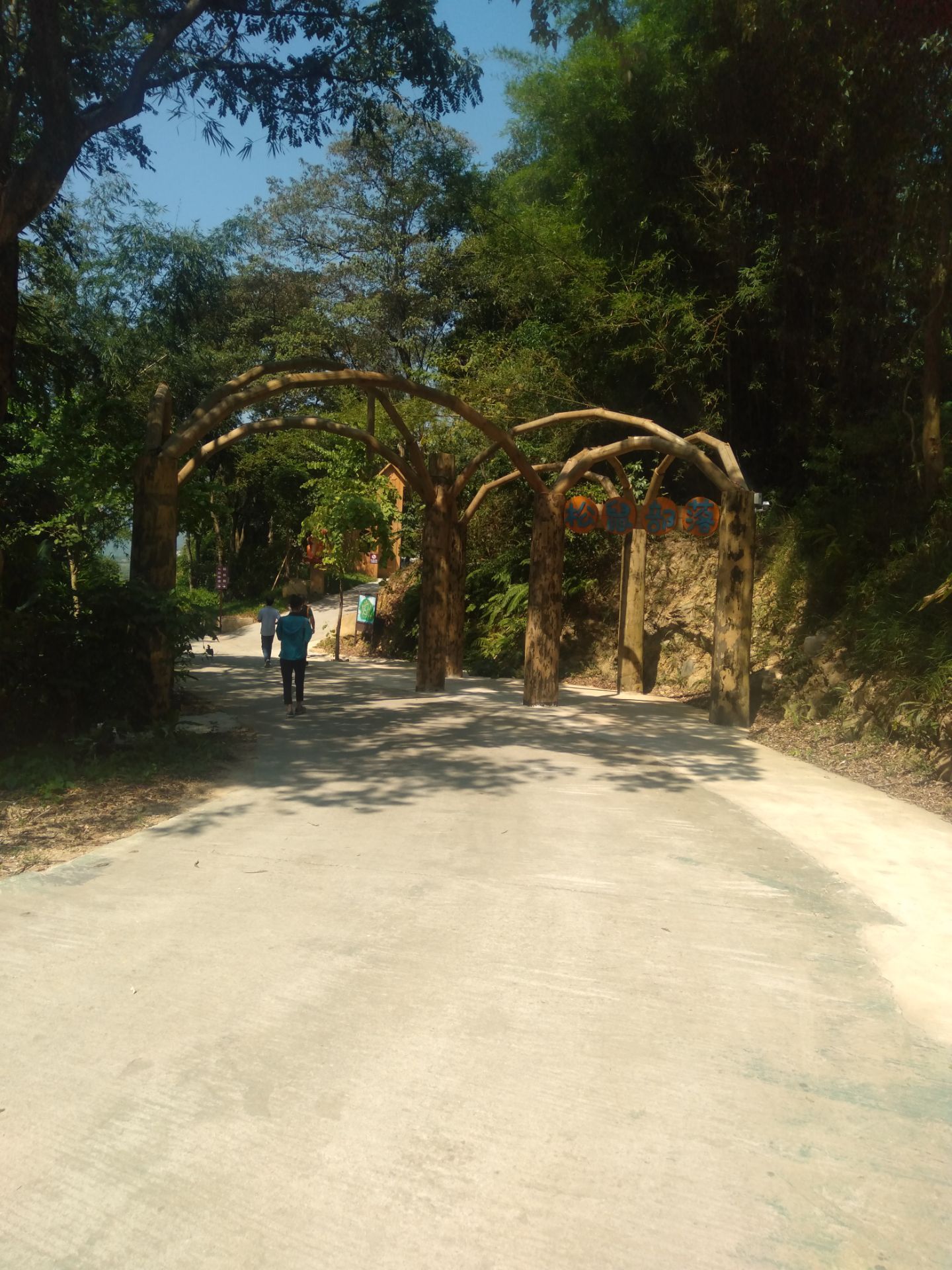 南丹山森林王国