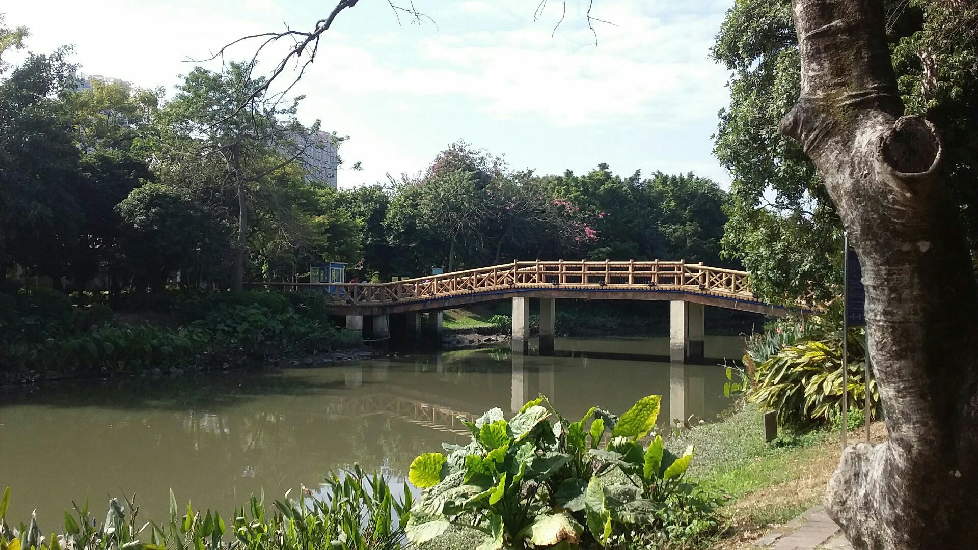 广州上涌果树公园好玩吗,广州上涌果树公园景点怎么样_点评_评价