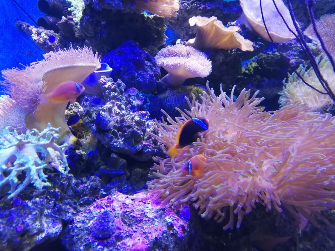 昆明花都海洋世界攻略,昆明花都海洋世界门票/游玩攻略/地址/图片