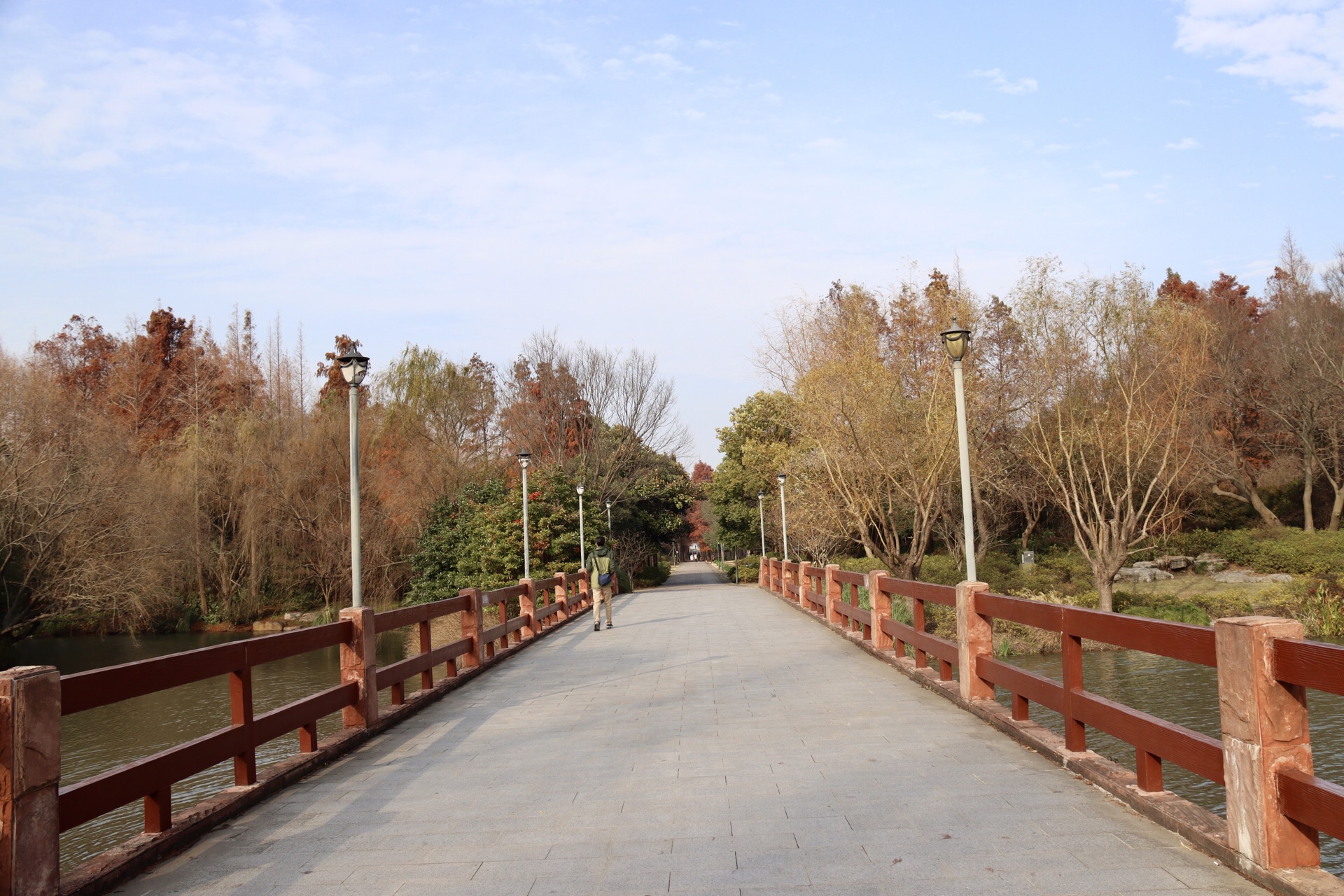 2023上海共青森林公园游玩攻略,...上去很是美丽，漫布走在散...【去哪儿攻略】