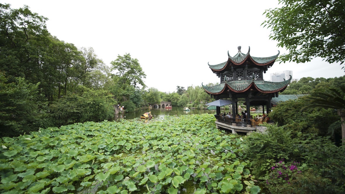桂湖公园景色描写图片