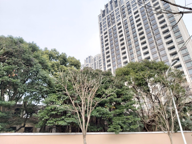 100b1c000001d682l4608_R_671_10000_Q90.jpg?proc=autoorient