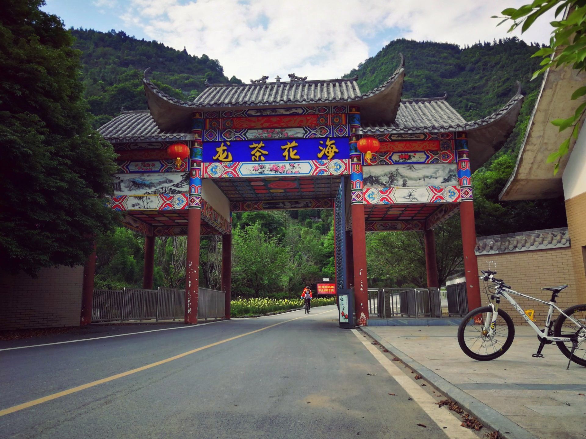 珙县龙茶花海好玩吗,珙县龙茶花海景点怎么样_点评_评价【携程攻略】