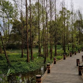 榿木河溼地公園