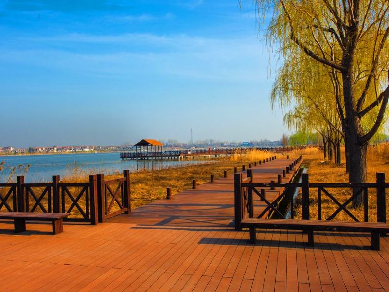 大沙河湿地公园