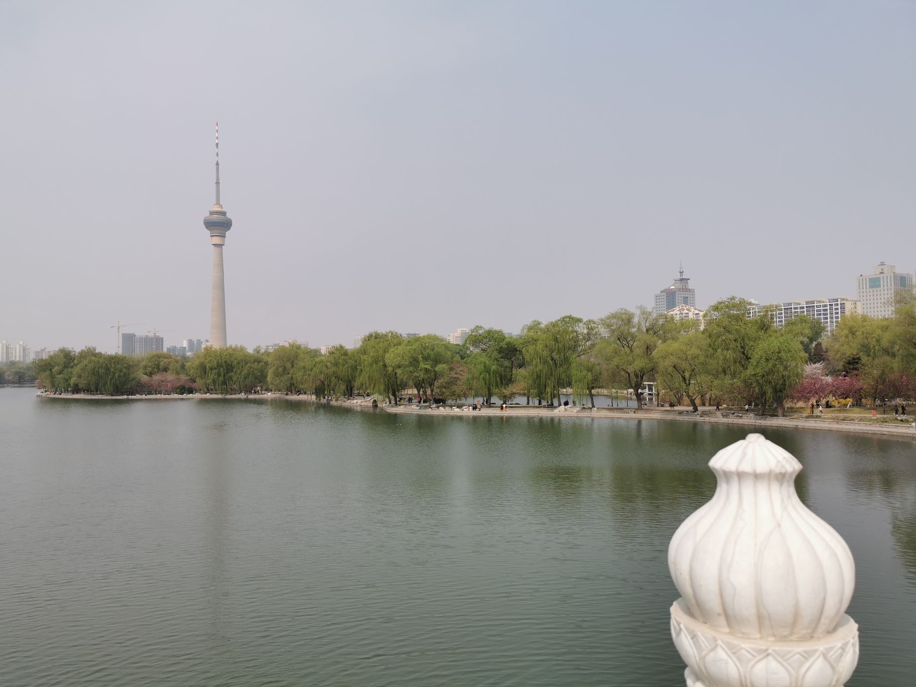 【携程攻略】北京玉渊潭公园景点,昨天才去的玉渊潭公园,说是樱花开了