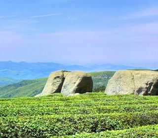 東錢湖福泉山景區