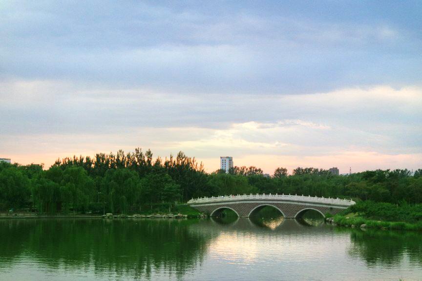 北京大兴滨河森林公园图片