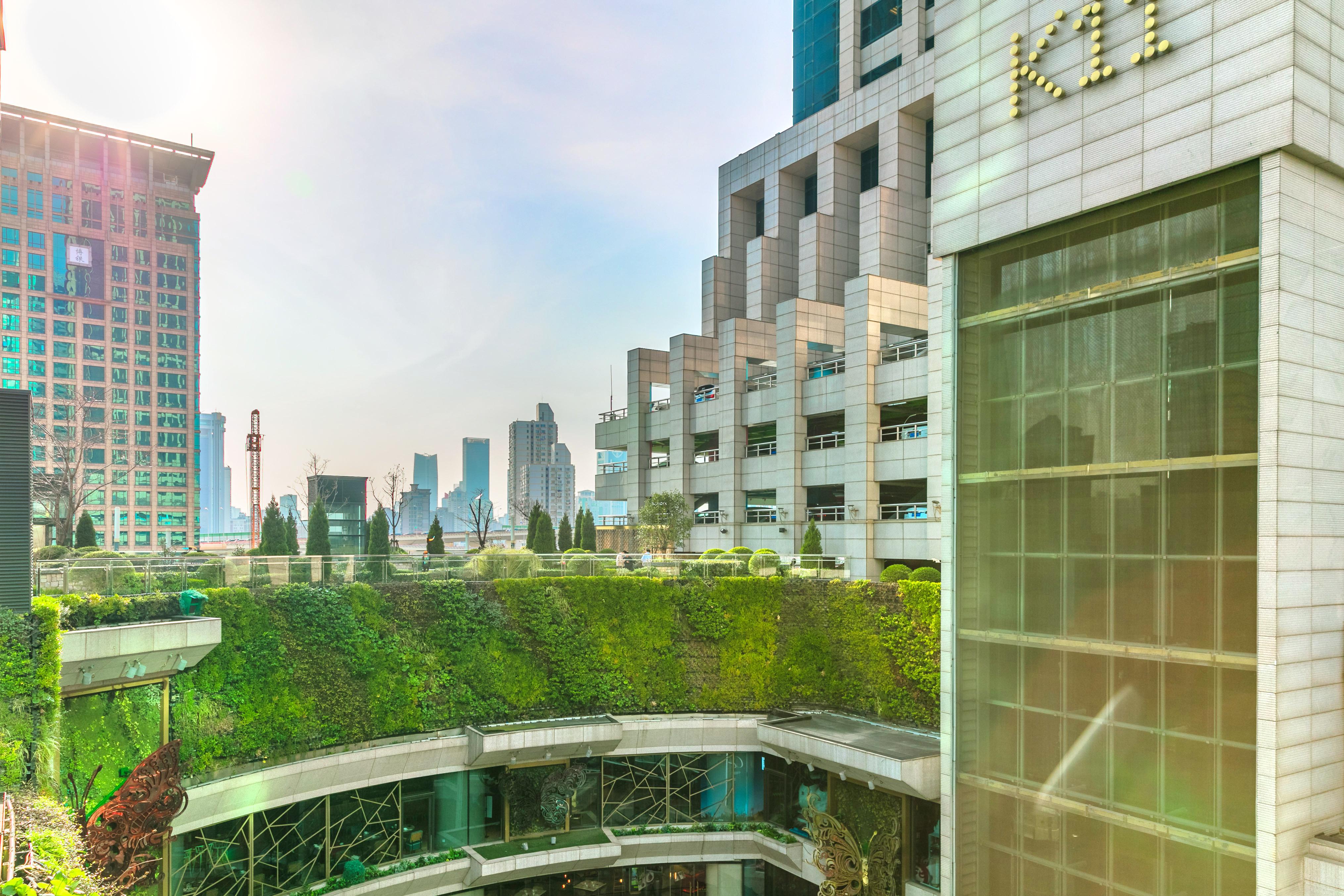 "有老上海的味道" 1/ 643语音导览 思南路 "细赏风格迥异的花园洋房 "