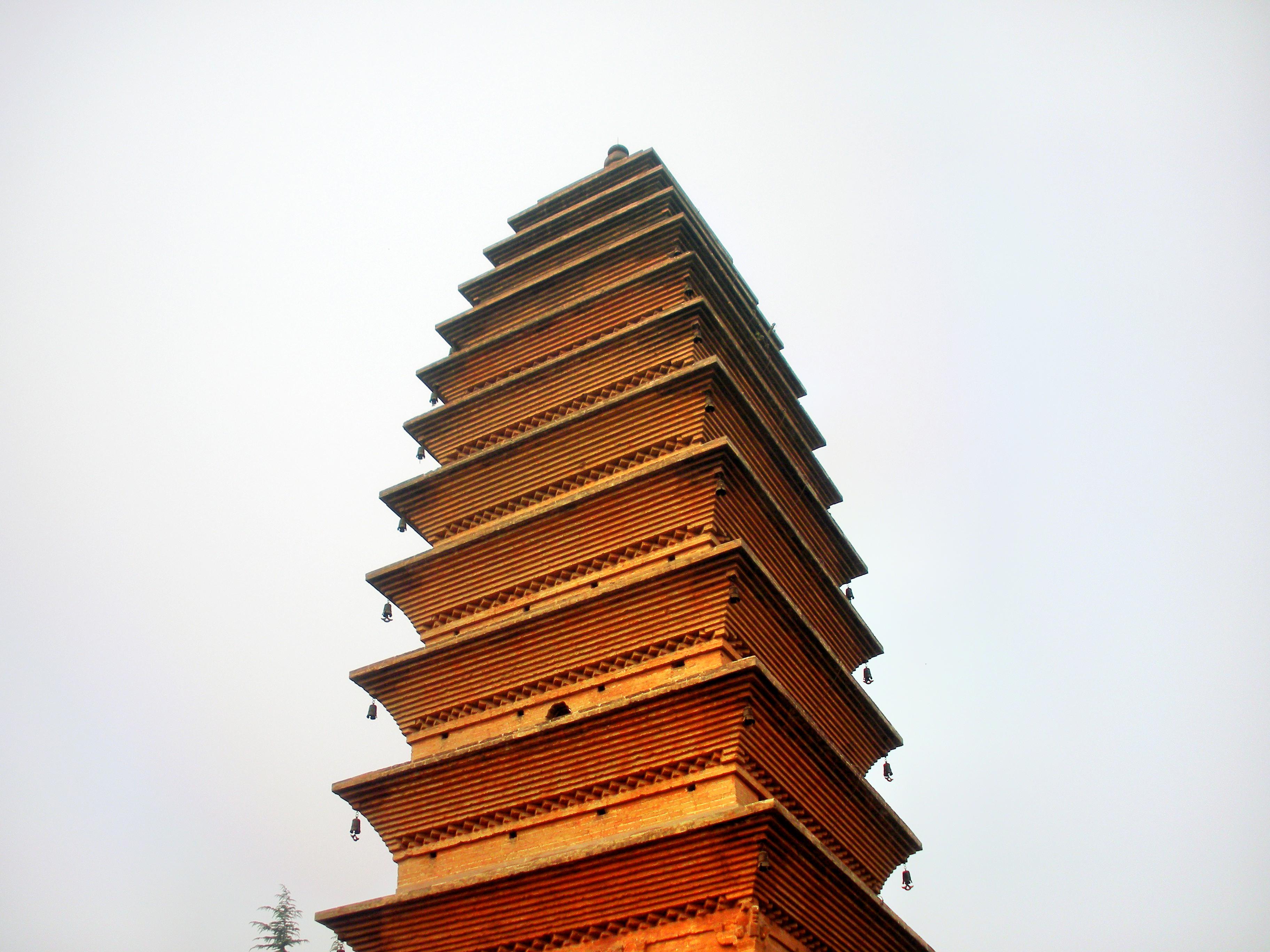 洛阳神州牡丹园攻略,洛阳神州牡丹园门票/游玩攻略/地址/图片/门票