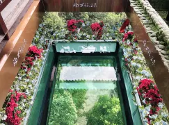 츠리 1일 투어: 장가계 대협곡의 아름다움과 완푸 온천의 편안함
