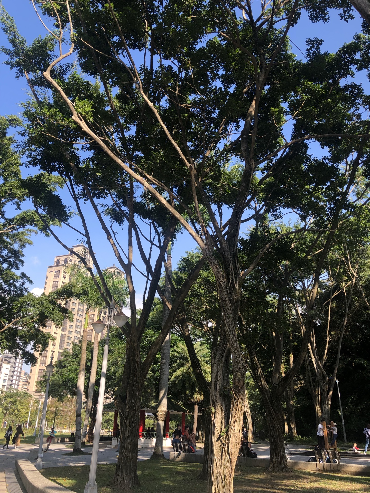 台北象山自然步道好玩吗,台北象山自然步道景点怎么样_点评_评价
