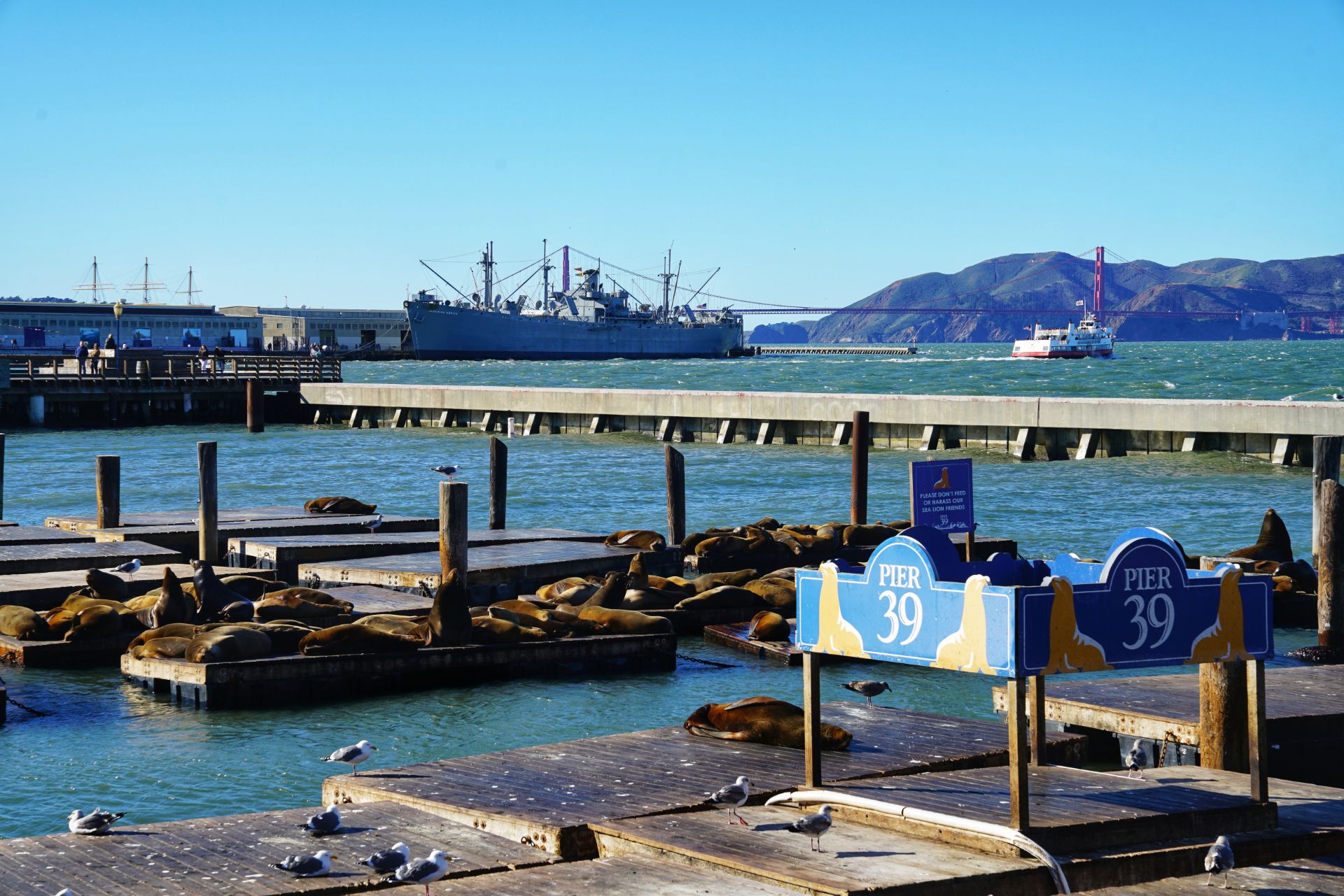 旧金山39号码头好玩吗,旧金山39号码头景点怎么样_点评_评价【携程