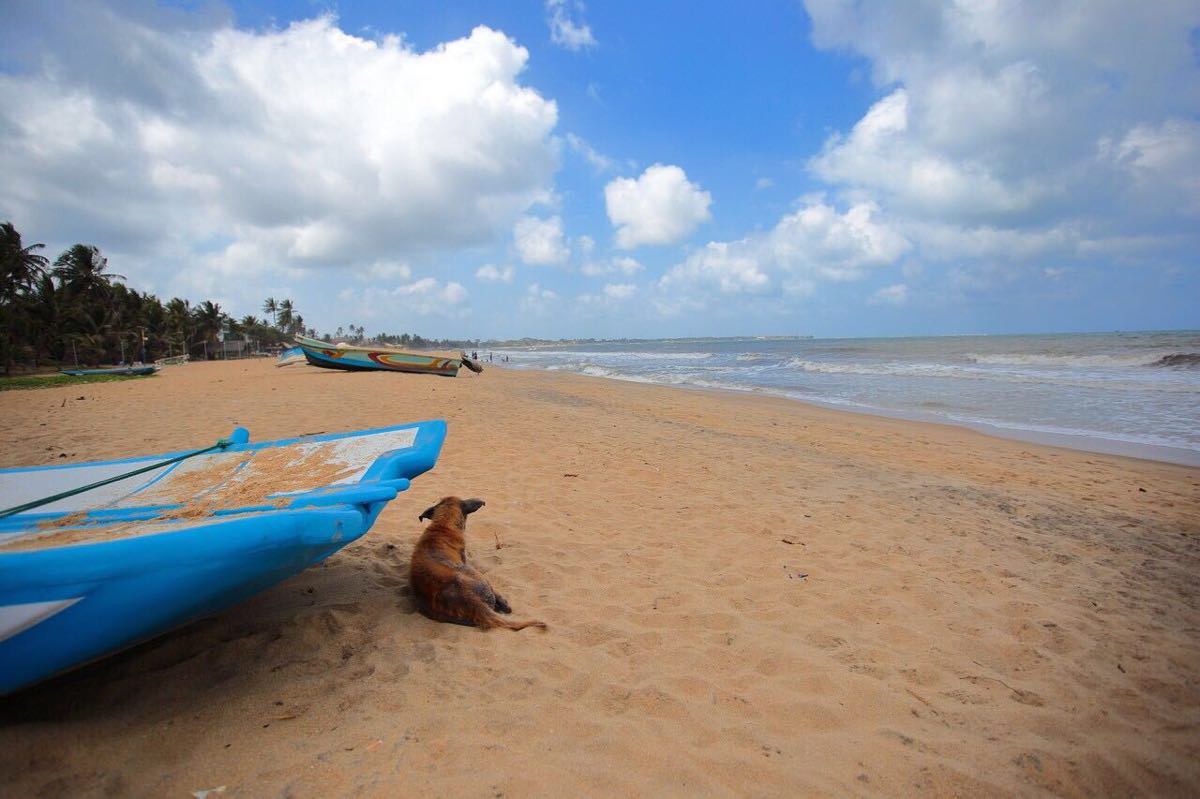 尼甘布海滩negombo beach