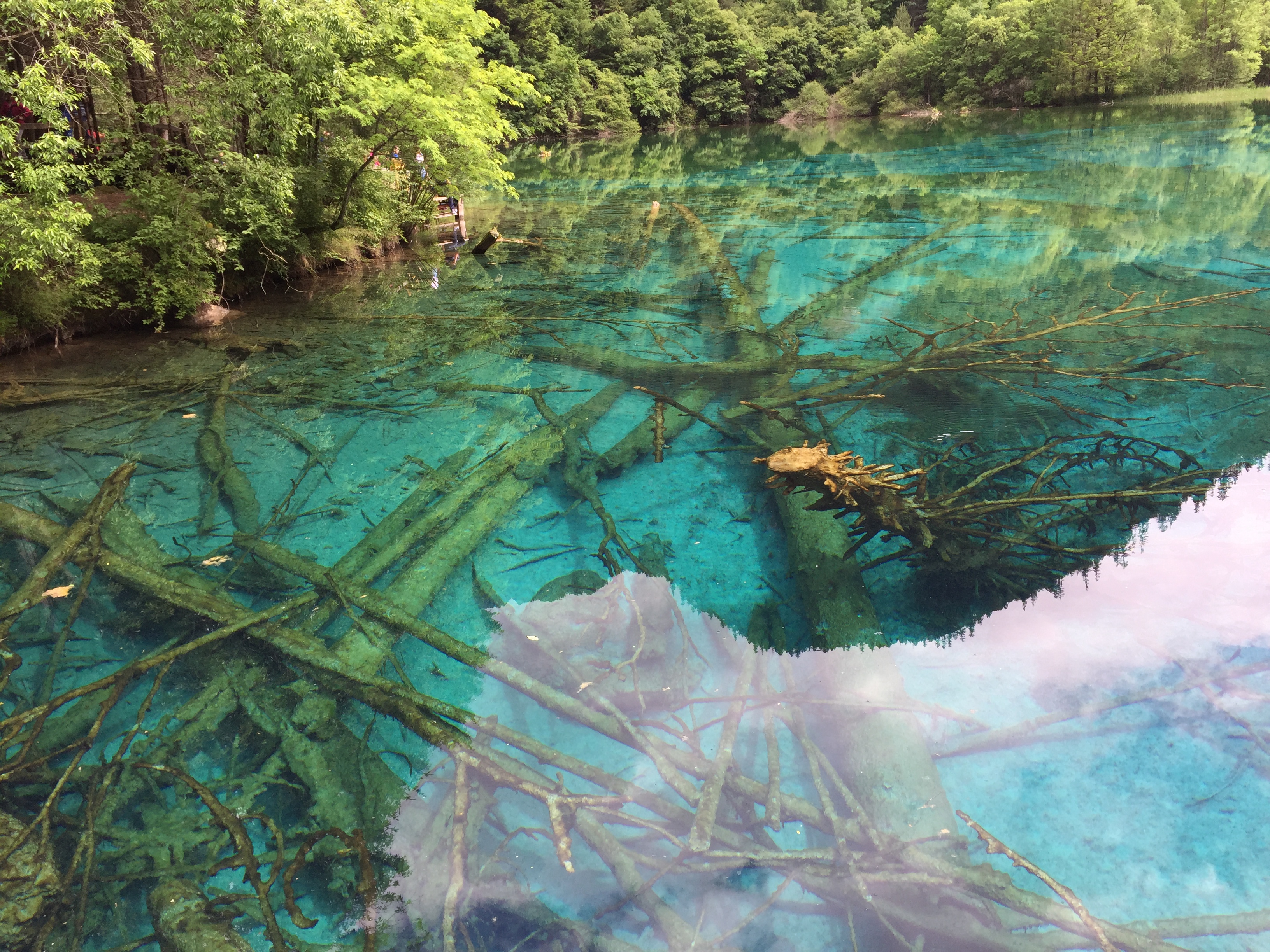 【携程攻略】四川九寨沟风景区景点,非常美丽的地方,我是端午去,是