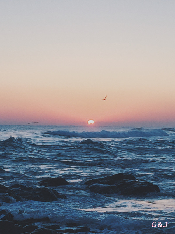 G和J的韩国Healing旅行