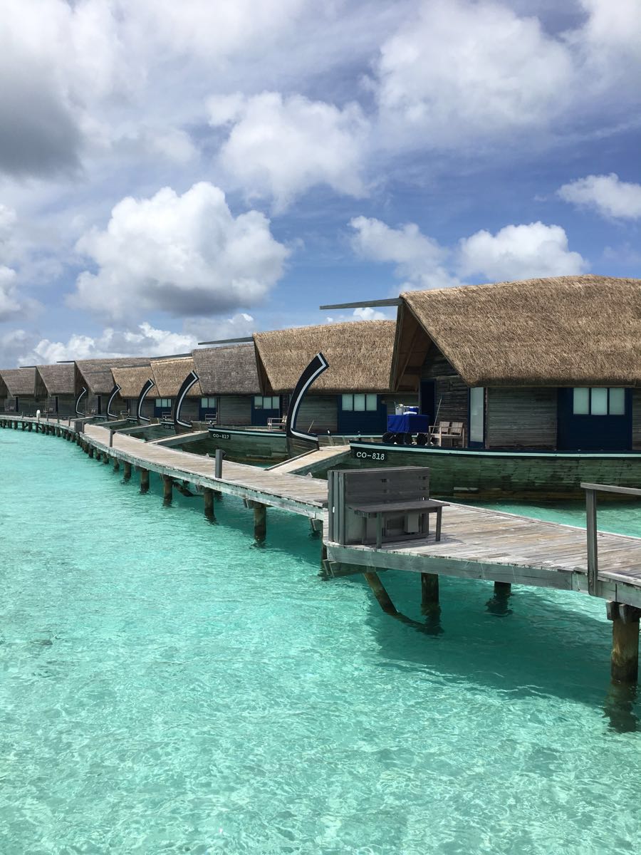 可可亚岛cocoa island by como