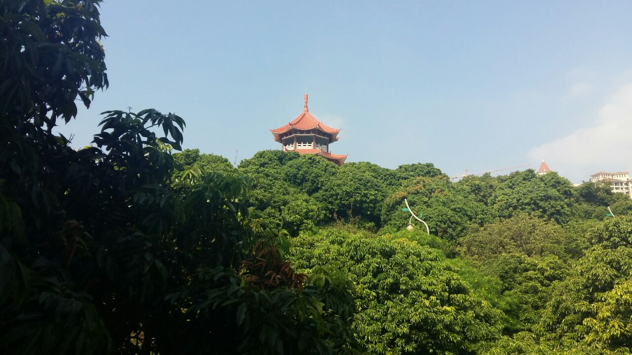 荔枝文化公园