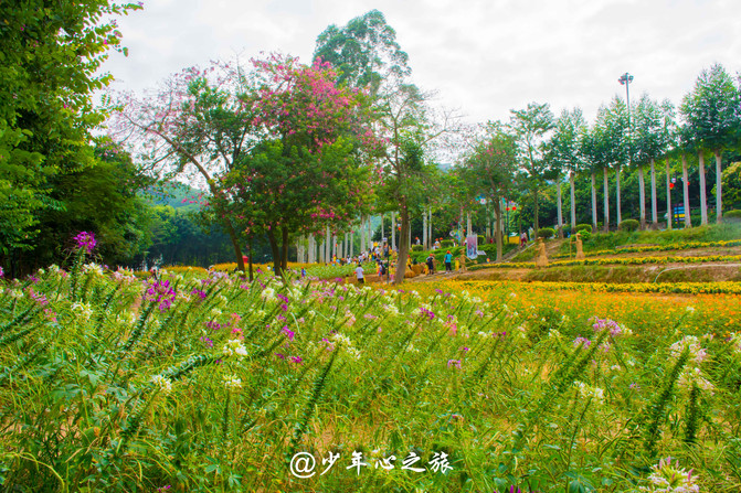 童话伊甸园,梦开始的地方--东莞龙凤山庄