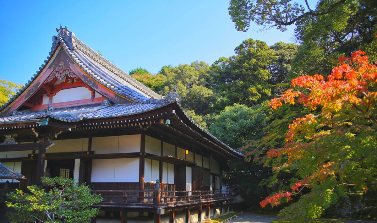 日本京都金阁寺 哲学之道 银阁寺 清水寺 伏见稻荷大社包车一日游【静