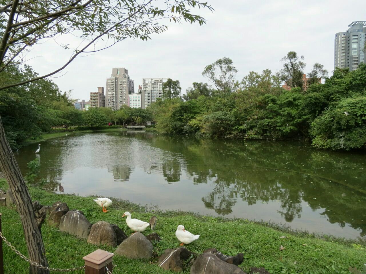 台北大安森林公园好玩吗,台北大安森林公园景点怎么样_点评_评价