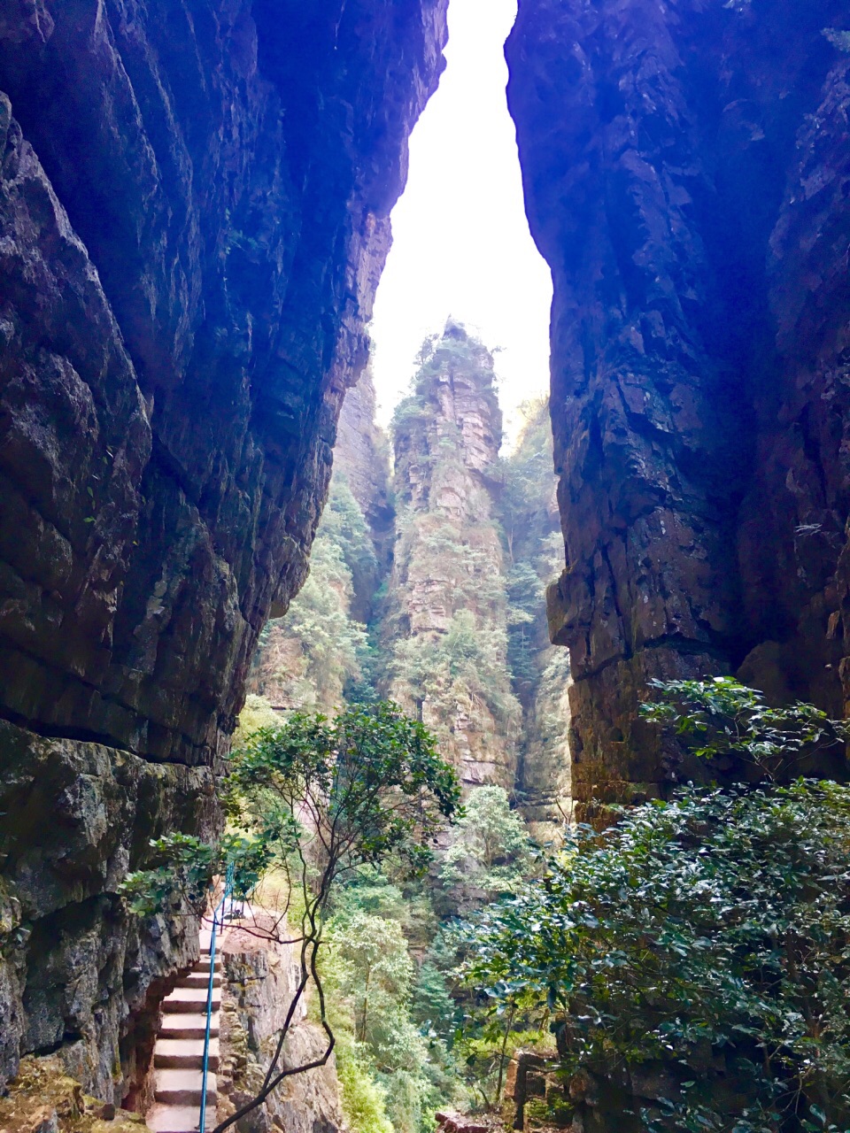 2025金秀莲花山景区游玩攻略,金秀莲花山风景秀丽,是个大