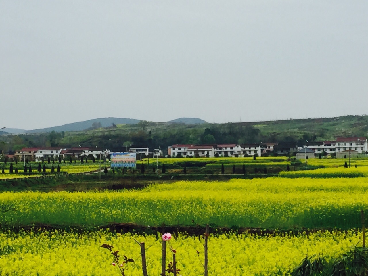 朱鹮梨园景区简介图片