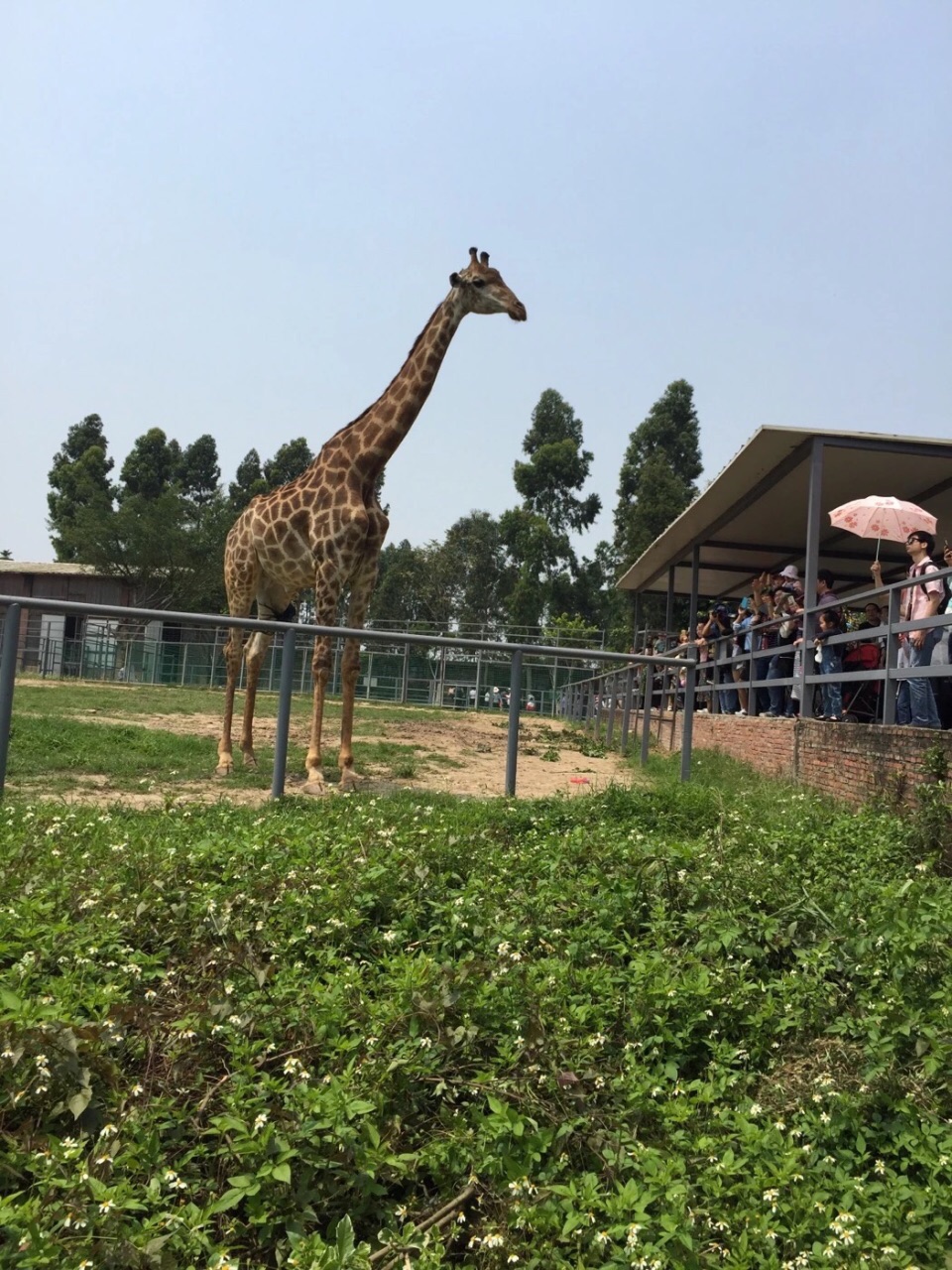 【携程攻略】东莞香市动物园好玩吗,东莞香市动物园景点怎么样_点评