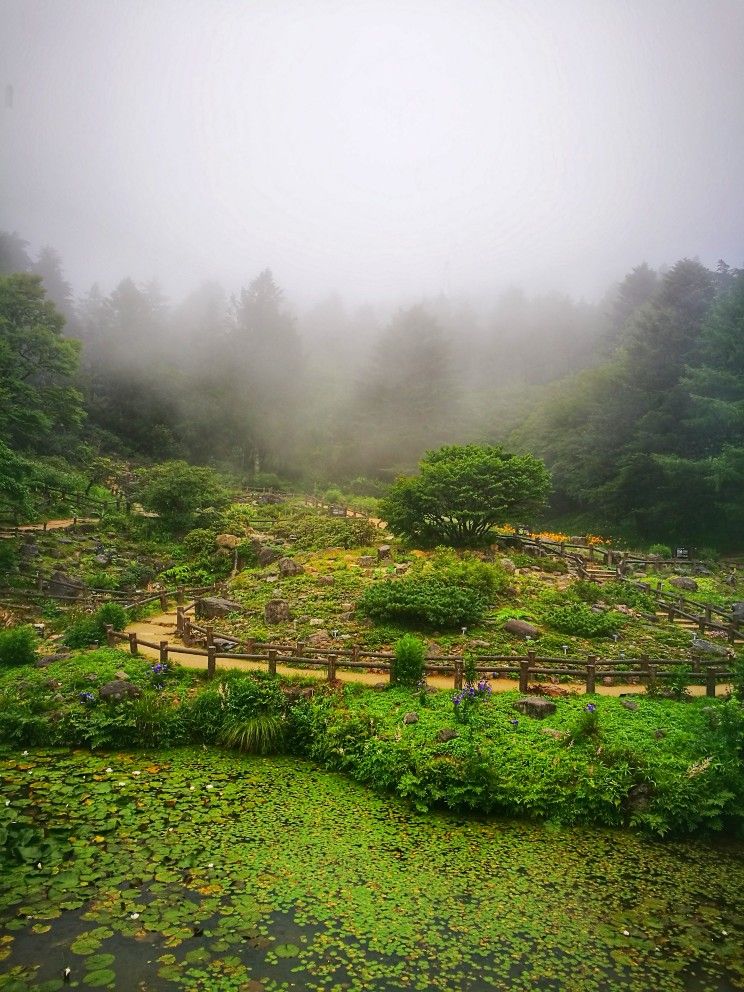 六甲高山植物园