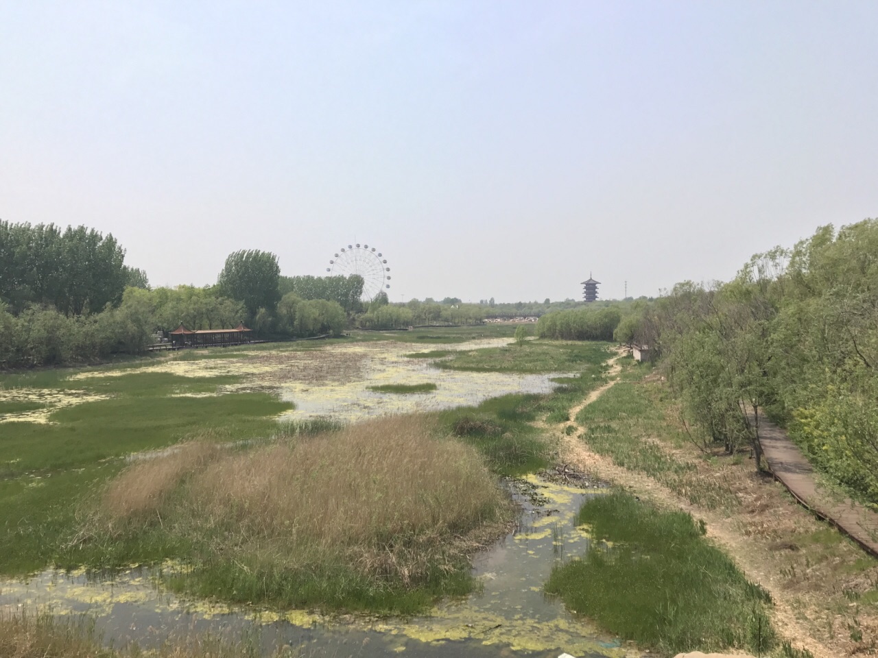 2019白浪綠洲溼地公園_旅遊攻略_門票_地址_遊記點評,濰坊旅遊景點