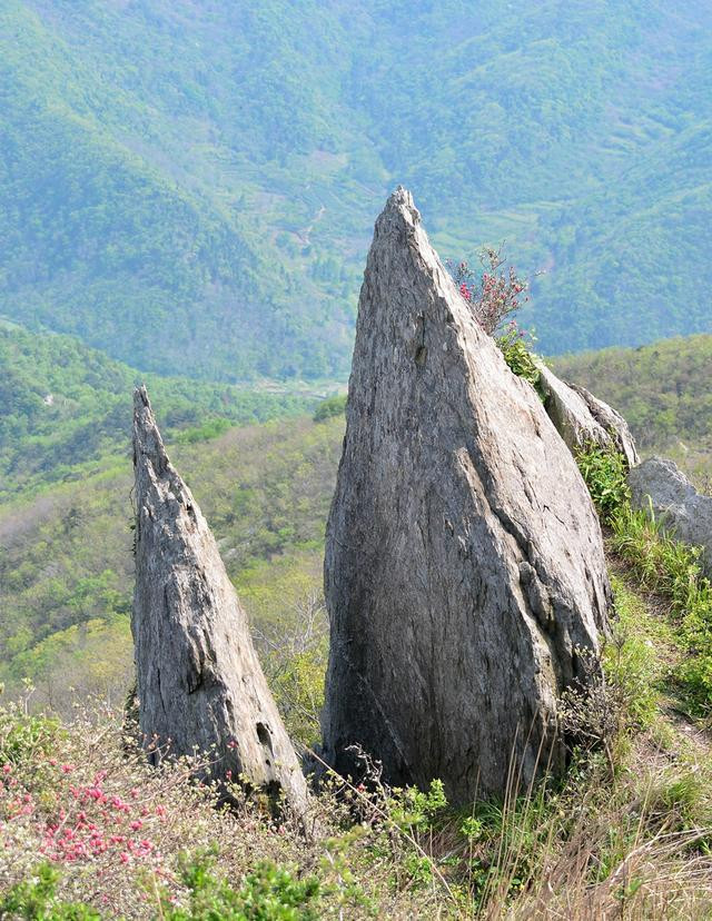 什么谷传成语_成语故事图片(3)