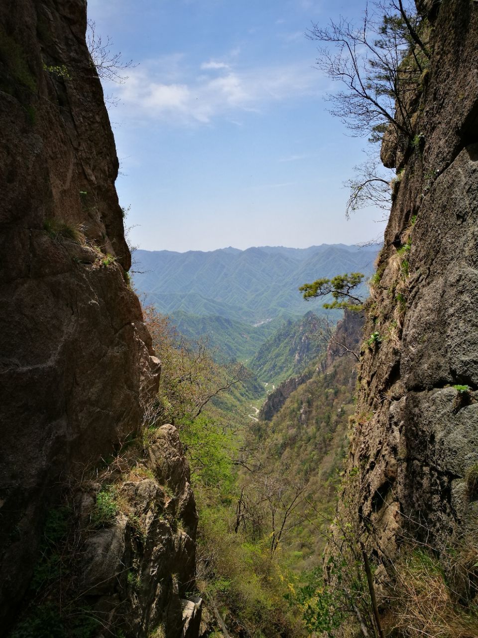 2019老界岭_旅游攻略_门票_地址_游记点评,西峡旅游景点推荐 - 去哪儿
