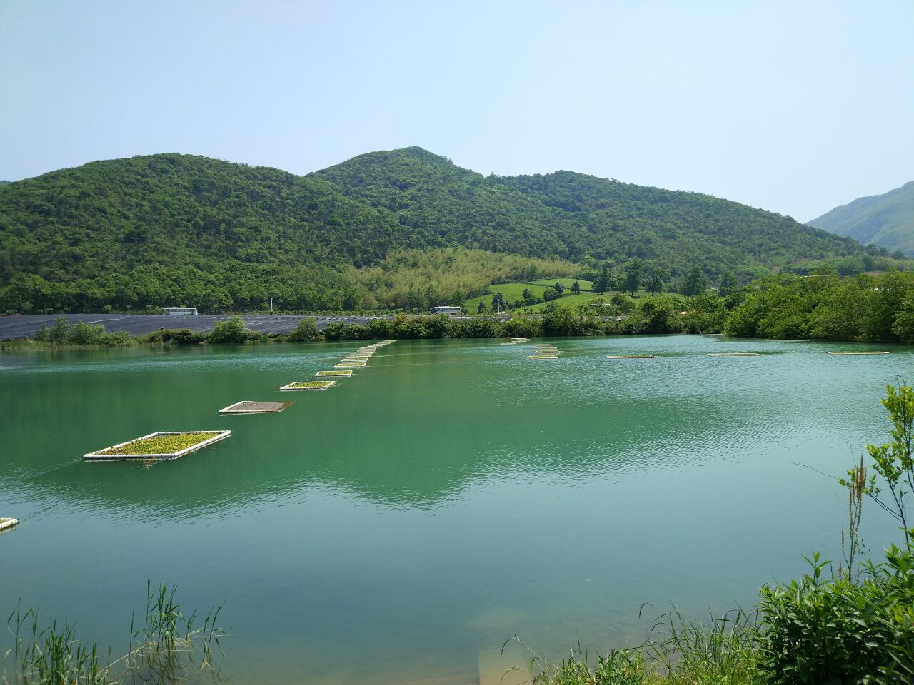 罗山县龙池风景区图片
