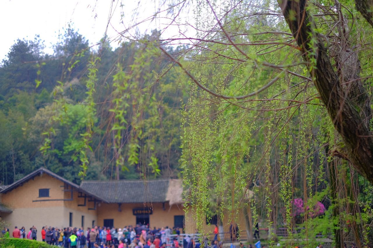 韶山旅游景点攻略图