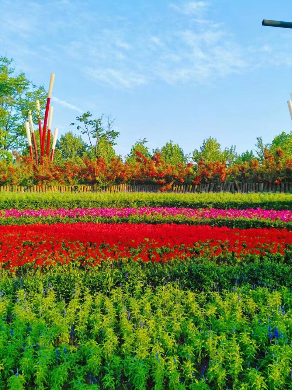 四季花海旅遊景點攻略圖