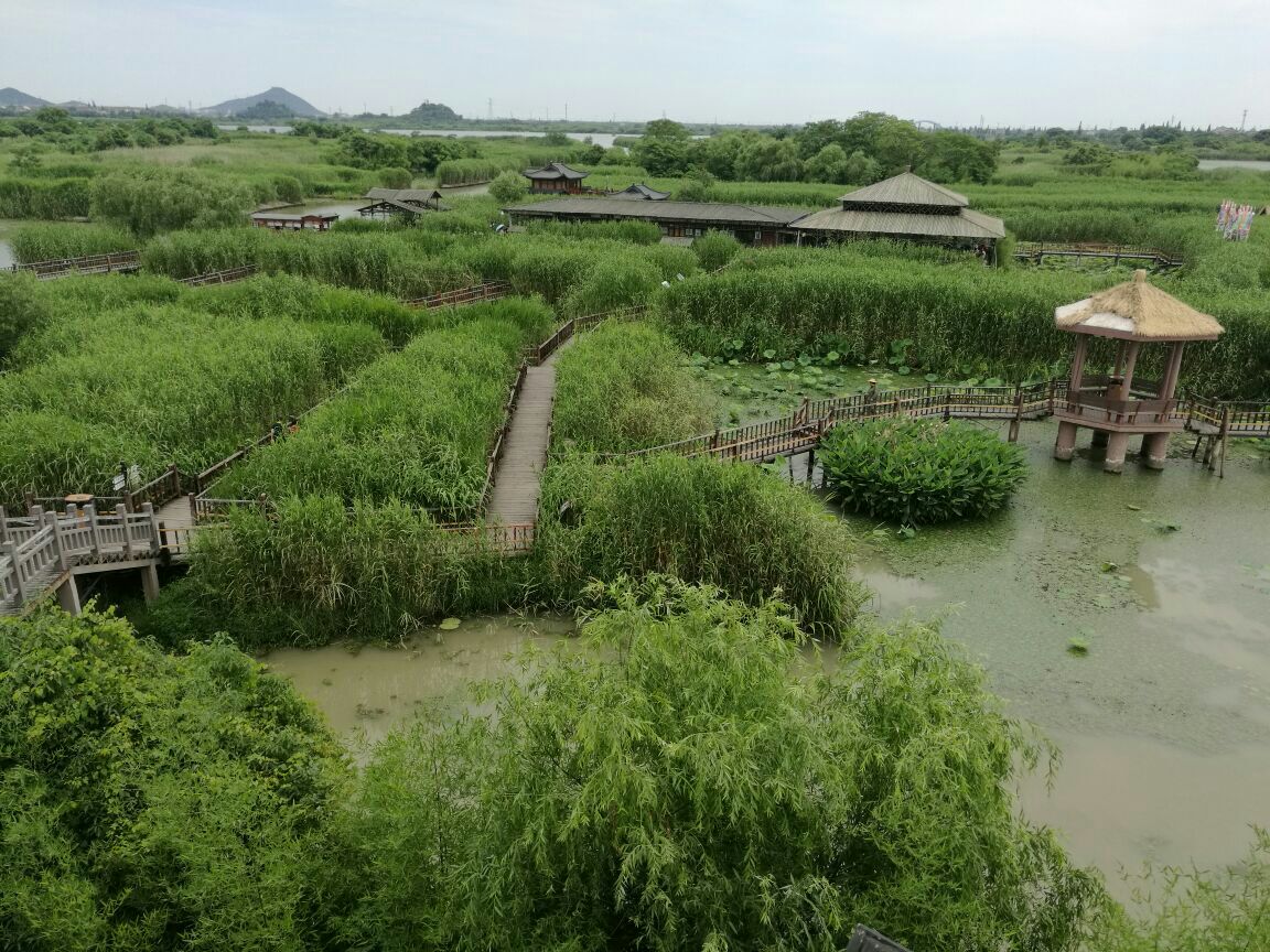 德清下渚湖溼地公園