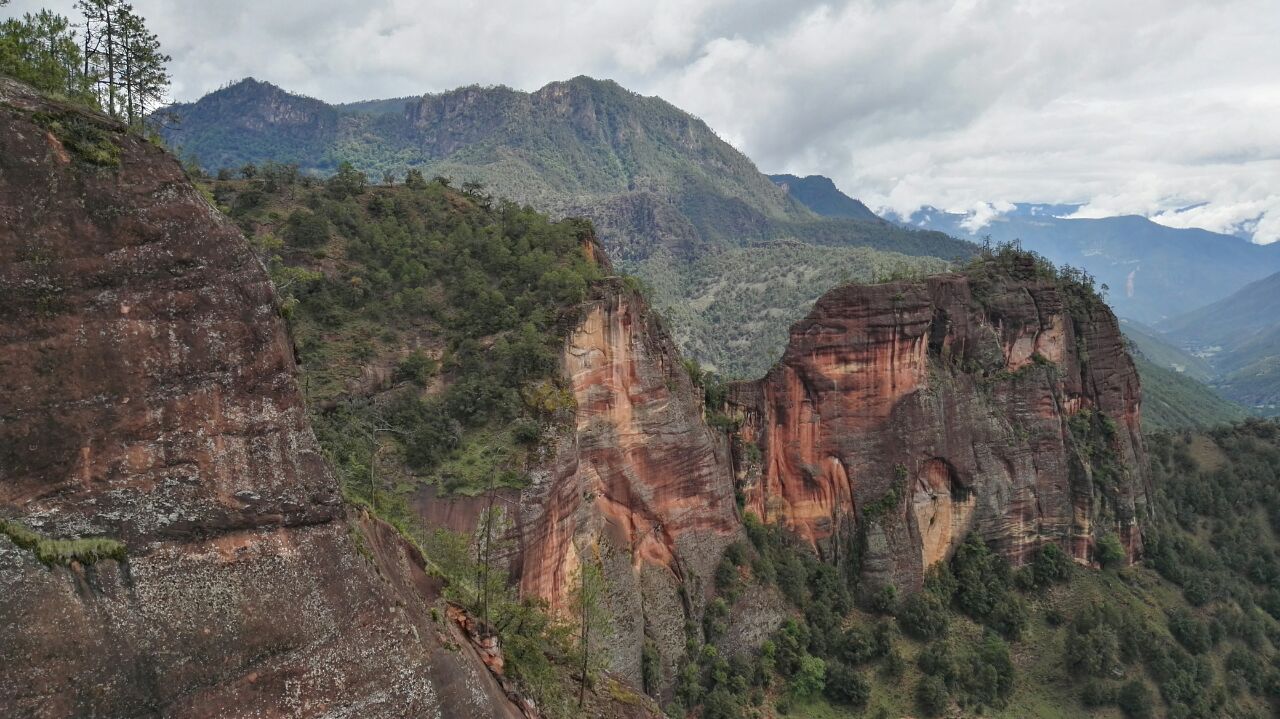 千龜山