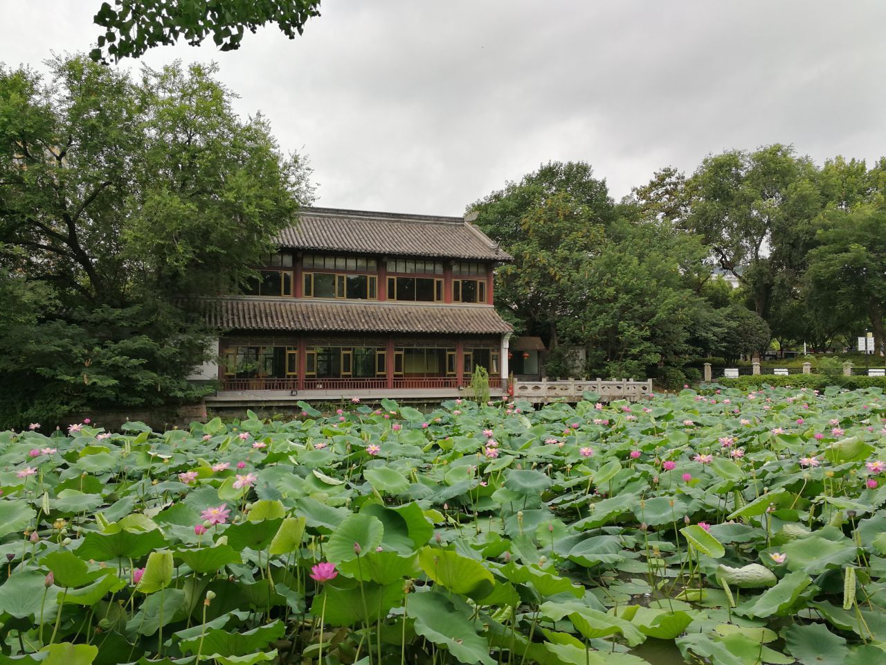 2020莫愁湖景区-旅游攻略-门票-地址-问答-游记点评,南京旅游旅游景点