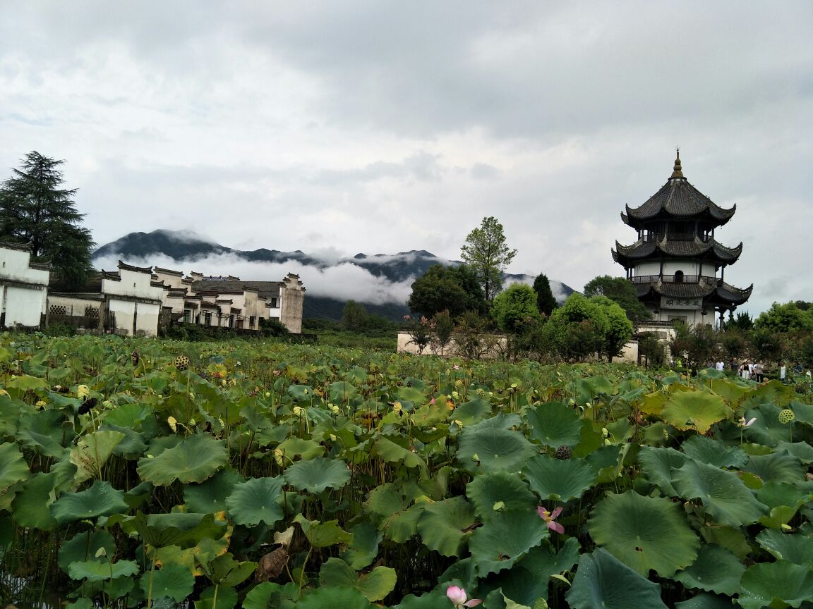 涇縣桃花潭好玩嗎,涇縣桃花潭景點怎麼樣_點評_評價【攜程攻略】