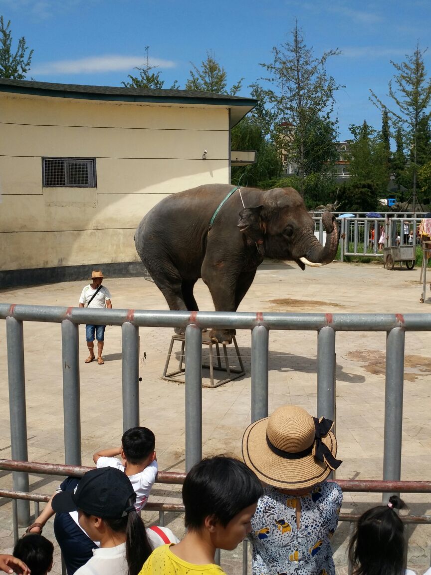 臨沂動植物園