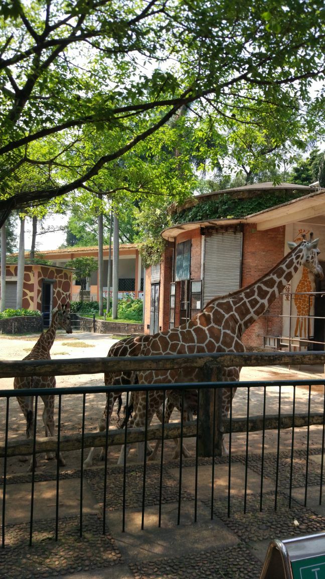 廣州動物園