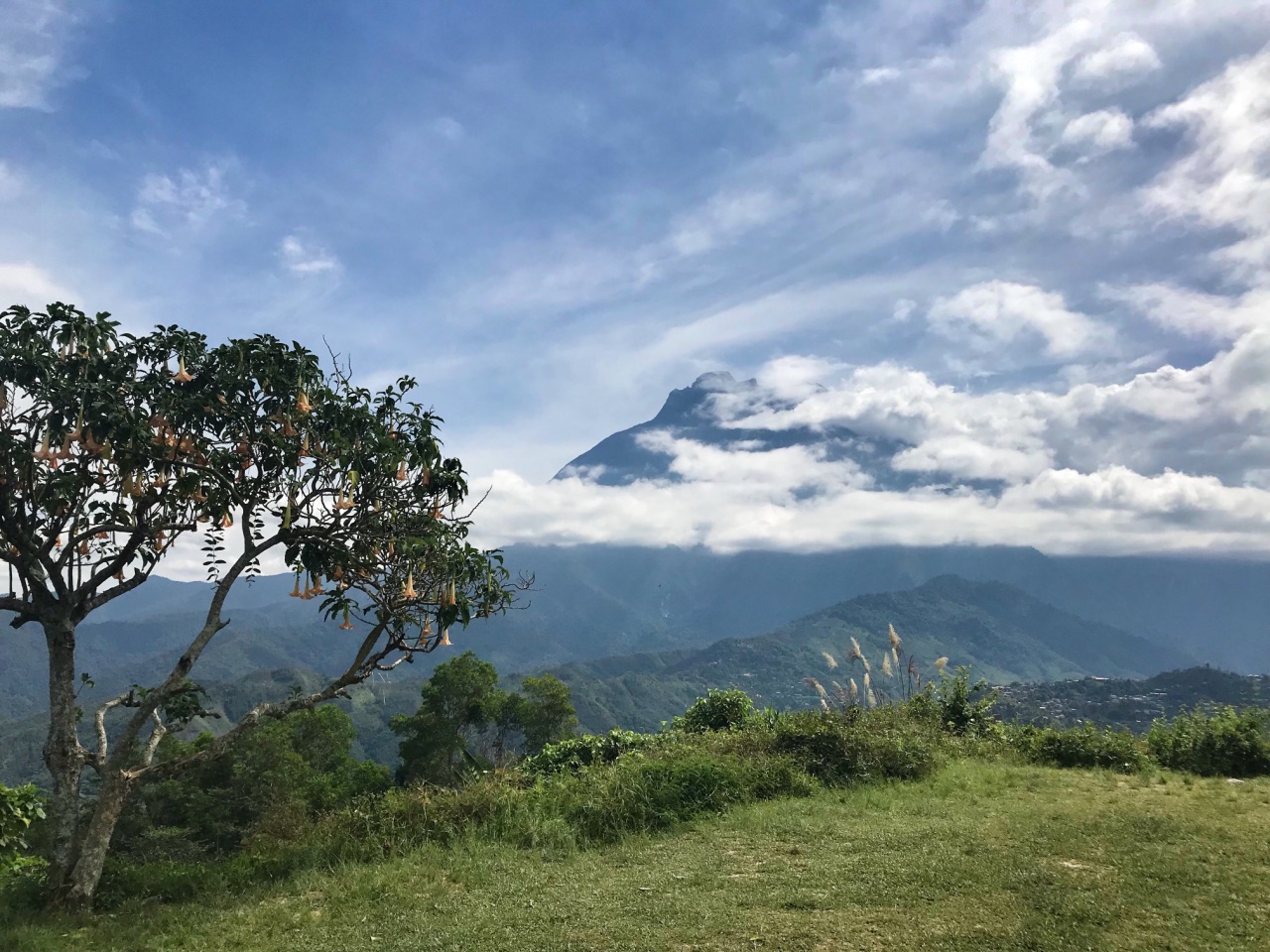 马来西亚沙巴亚庇京那巴鲁国家公园一日游【神山/世界遗产/趣味奶牛场