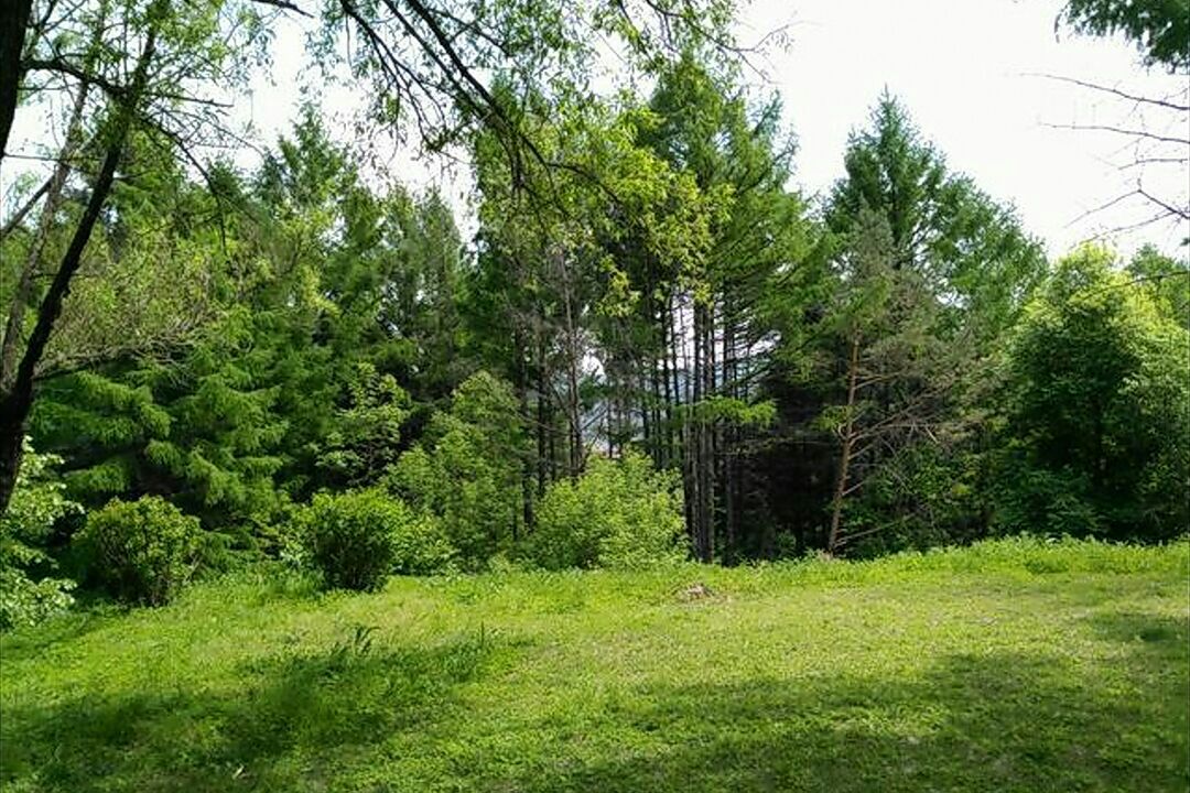 小兴安岭植物园