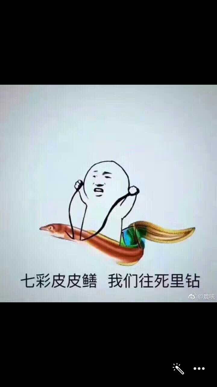 皮皮鳝我们钻图片图片