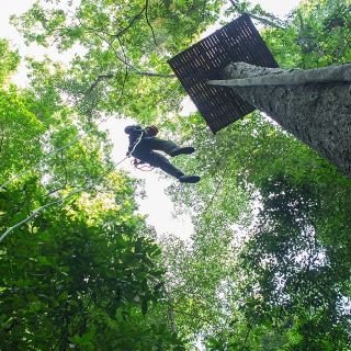 西双版纳原始森林公园丛林飞跃