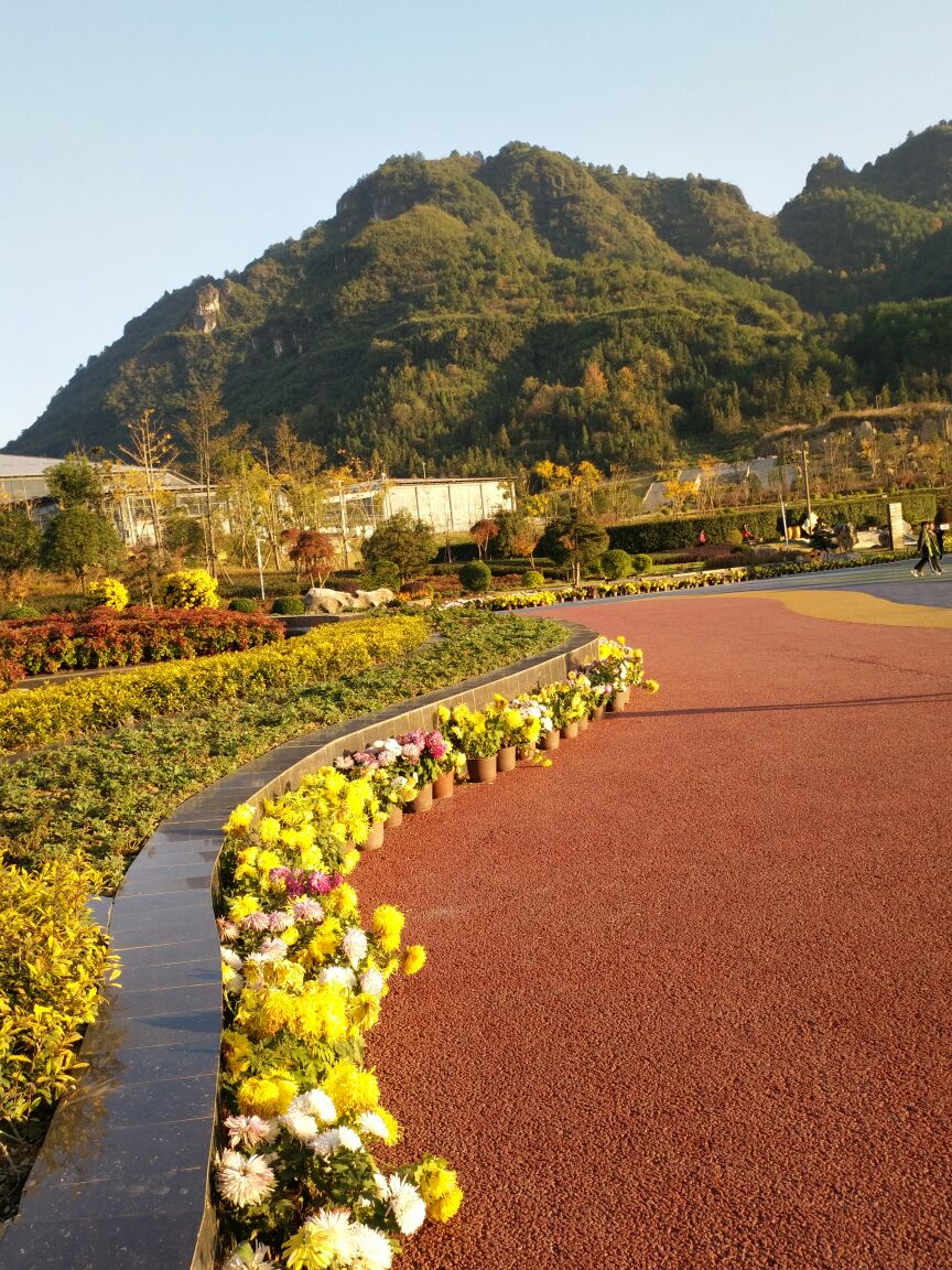 冬日暖阳,与友一起畅游百花渡,在渡口登上轮船,5分