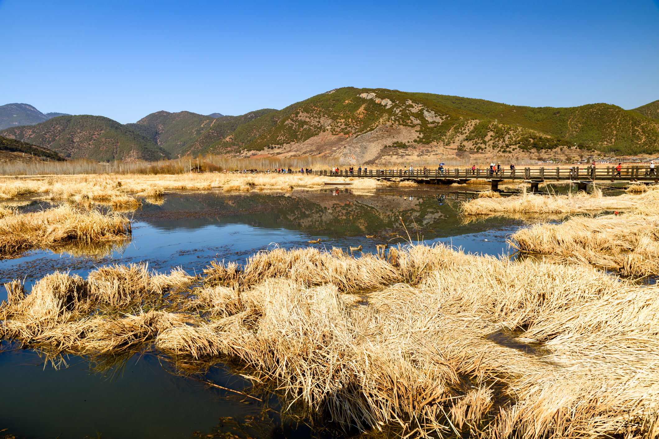 走婚桥长约300米,位于泸沽湖东南水域的草海区域,海拔2600.