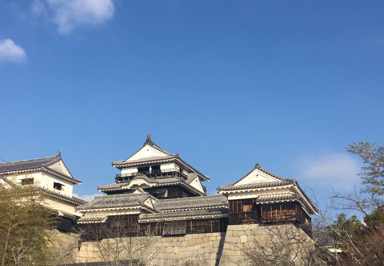 姫路城当然规模还是逊于姬路城入城堡的路层层环绕只是站在地面上怎么