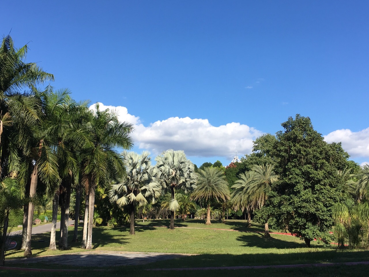 西双版纳南药园景区